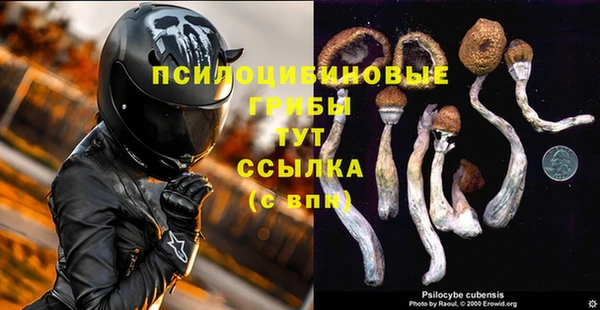ПСИЛОЦИБИНОВЫЕ ГРИБЫ Покровск