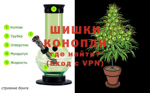 ПСИЛОЦИБИНОВЫЕ ГРИБЫ Покровск