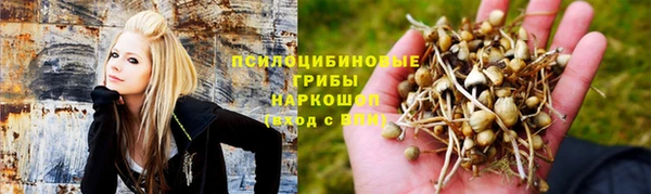 кокс Покачи